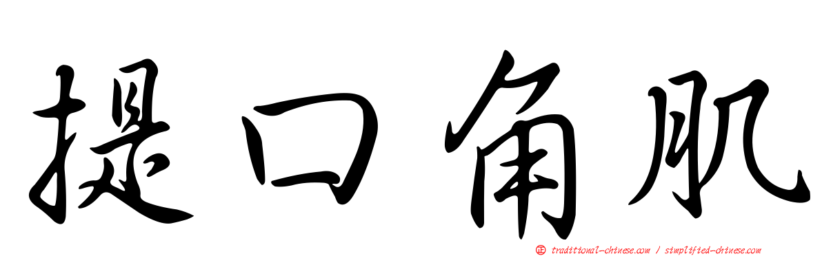 提口角肌