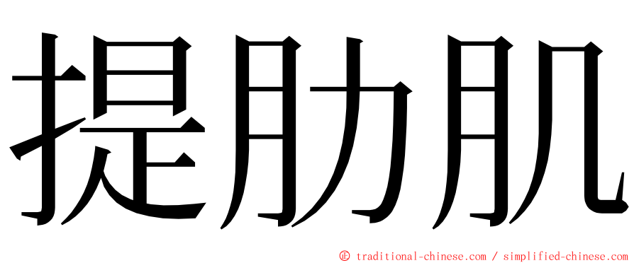 提肋肌 ming font