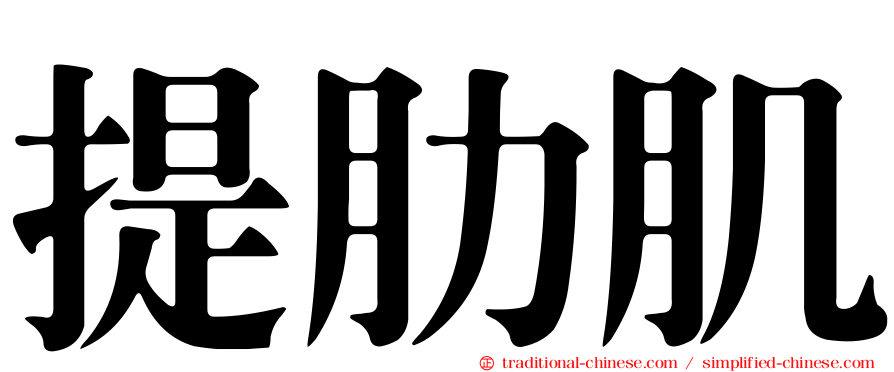 提肋肌
