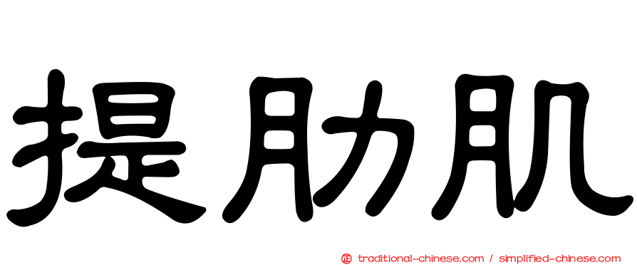 提肋肌