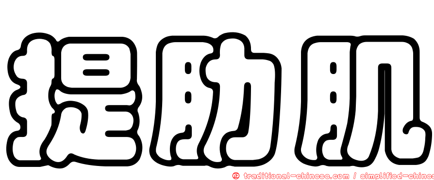 提肋肌