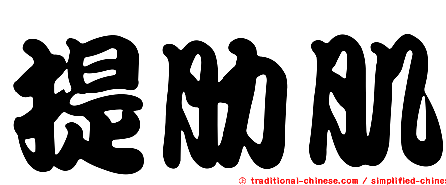 提肋肌