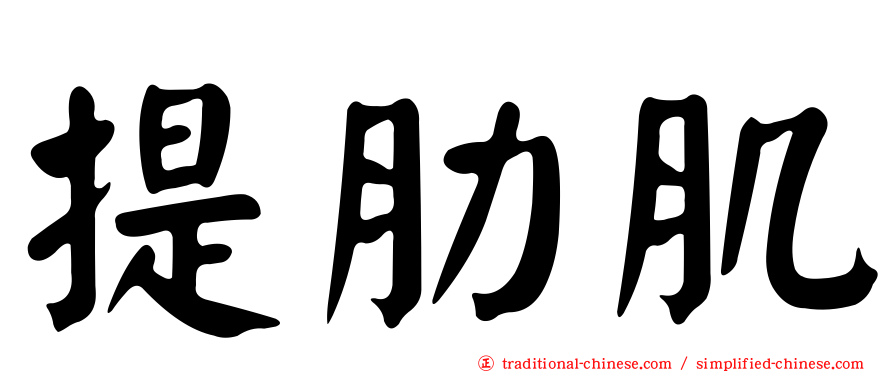提肋肌