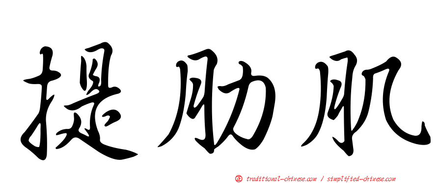 提肋肌