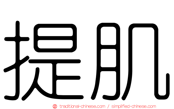 提肌