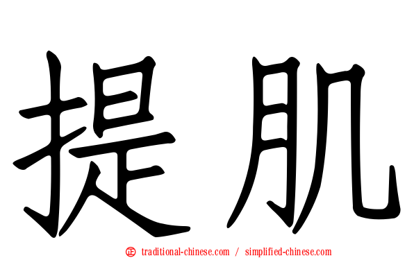 提肌