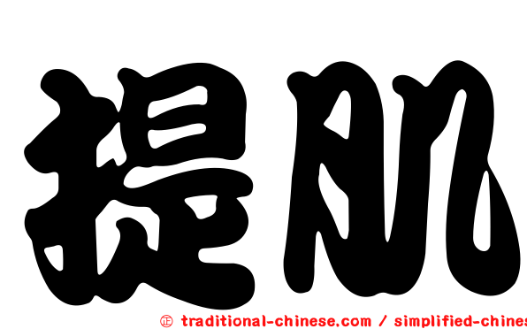 提肌