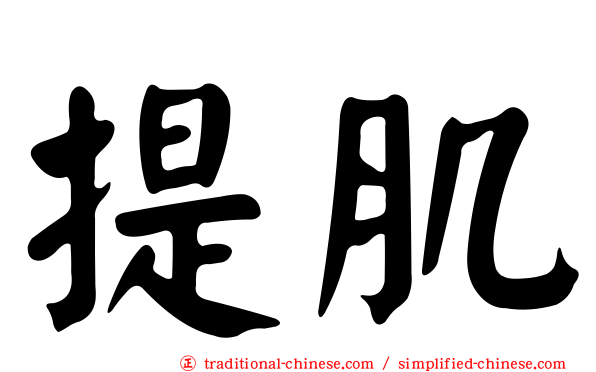 提肌