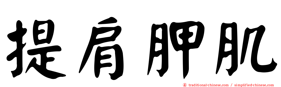 提肩胛肌