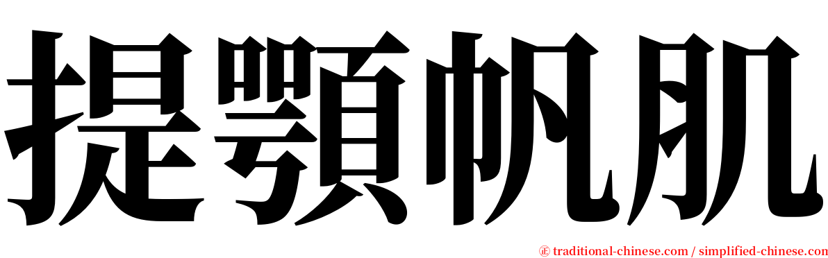 提顎帆肌 serif font