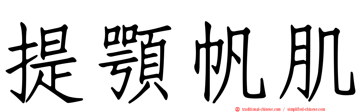 提顎帆肌