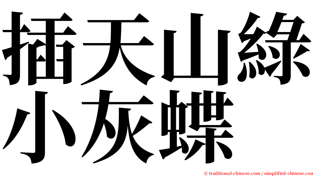 插天山綠小灰蝶 serif font
