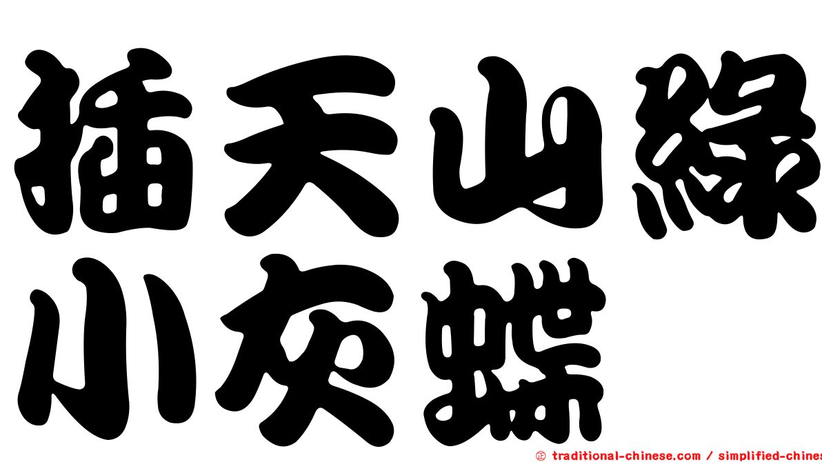 插天山綠小灰蝶