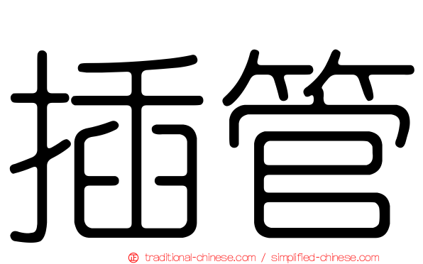 插管