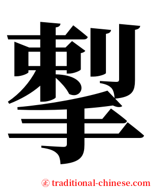 揧 serif font