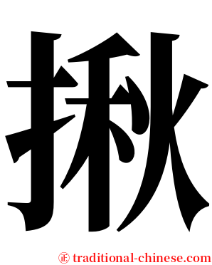 揪 serif font