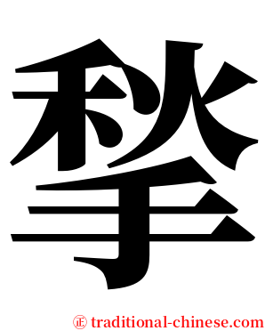 揫 serif font