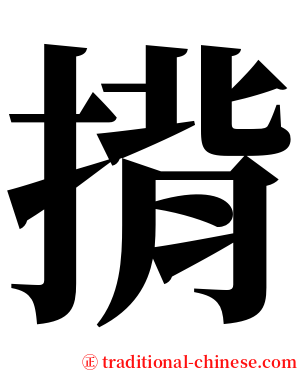 揹 serif font