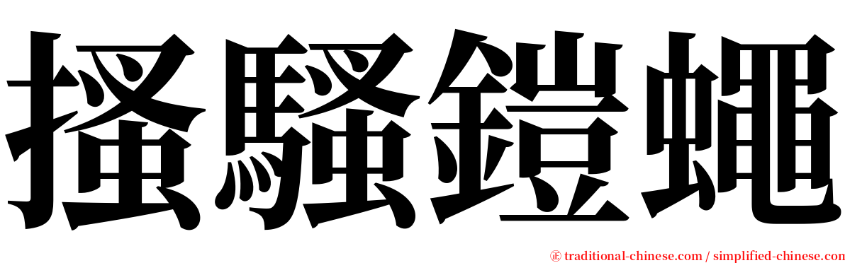 搔騷鎧蠅 serif font