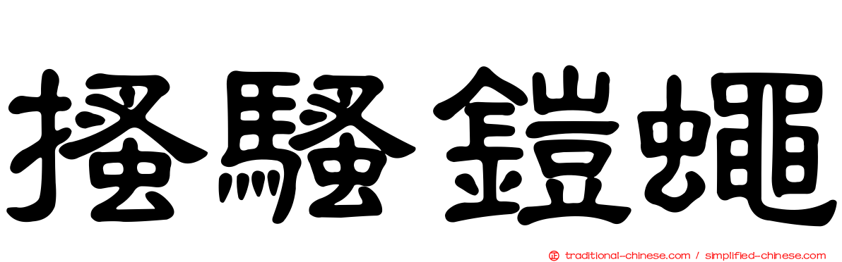 搔騷鎧蠅