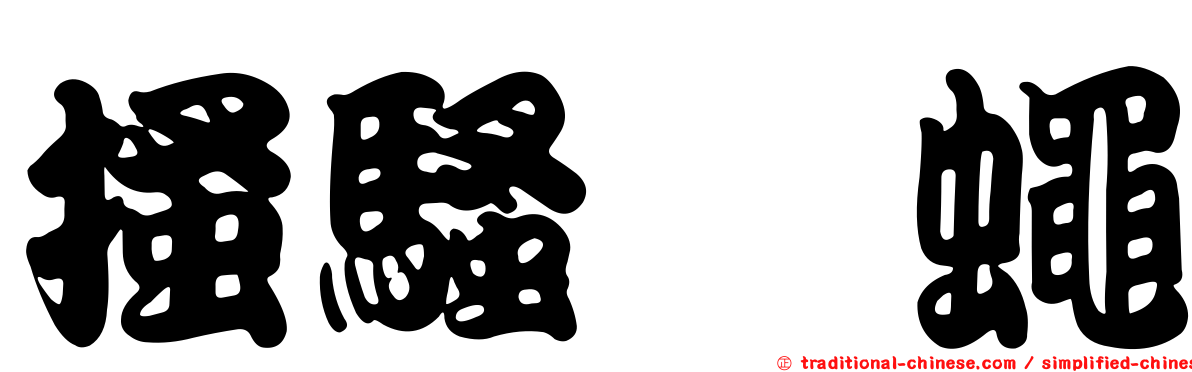 搔騷鎧蠅