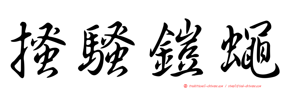 搔騷鎧蠅