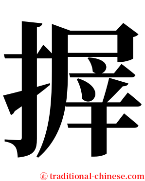 搱 serif font