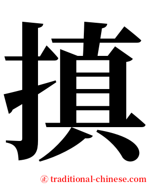 搷 serif font