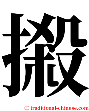 摋 serif font