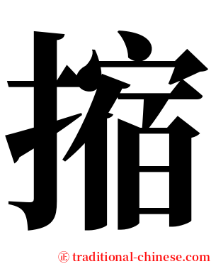 摍 serif font