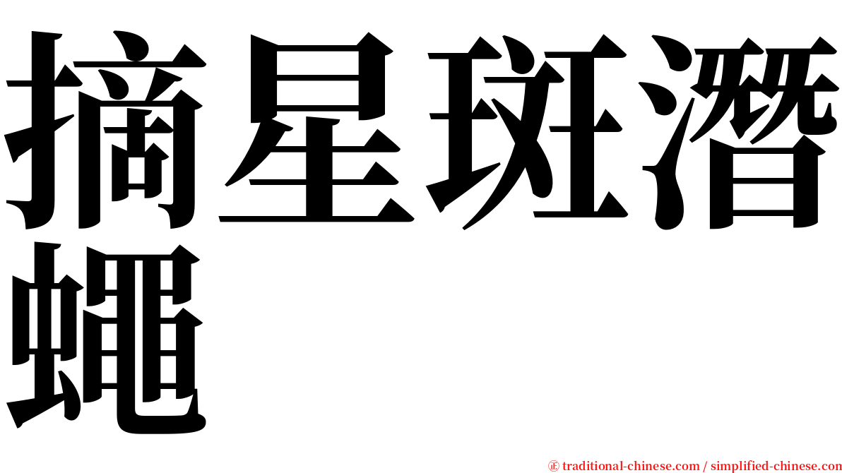 摘星斑潛蠅 serif font