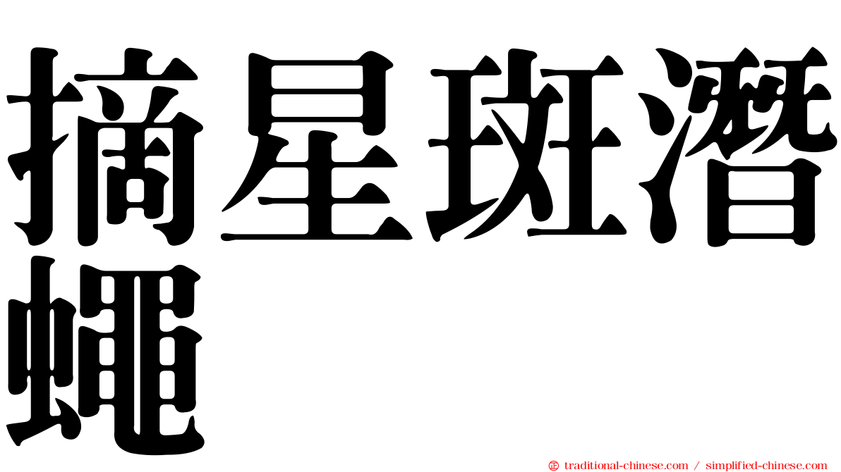 摘星斑潛蠅