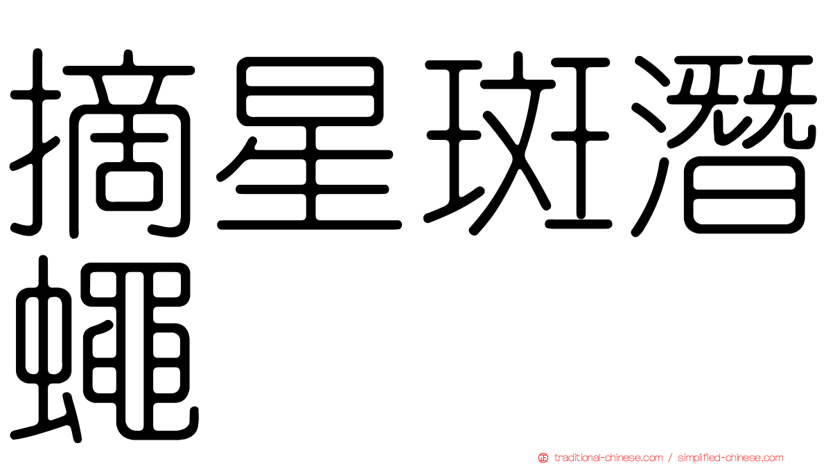 摘星斑潛蠅