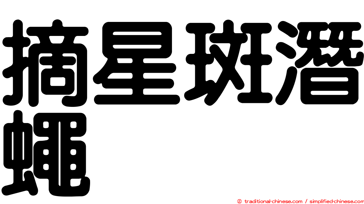 摘星斑潛蠅