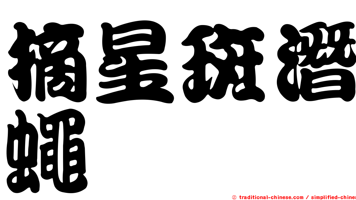 摘星斑潛蠅