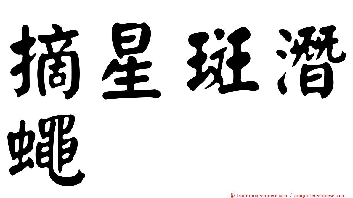摘星斑潛蠅