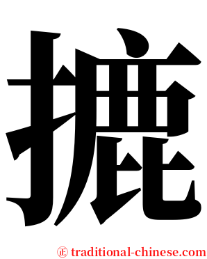 摝 serif font