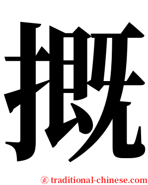 摡 serif font