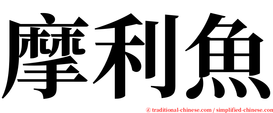 摩利魚 serif font