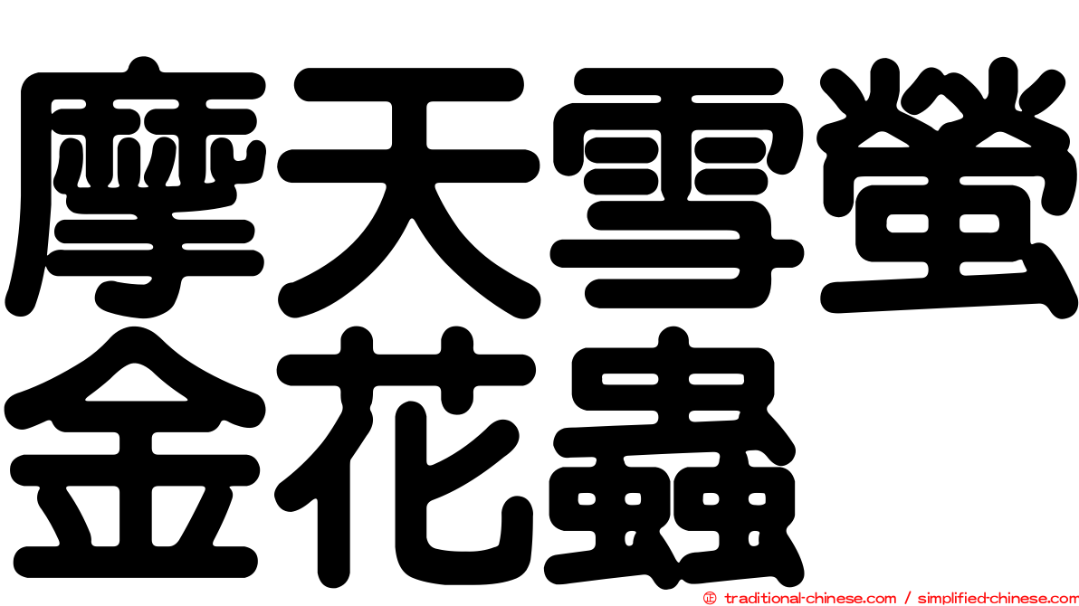 摩天雪螢金花蟲