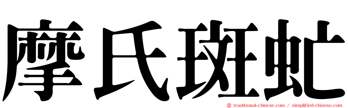 摩氏斑虻
