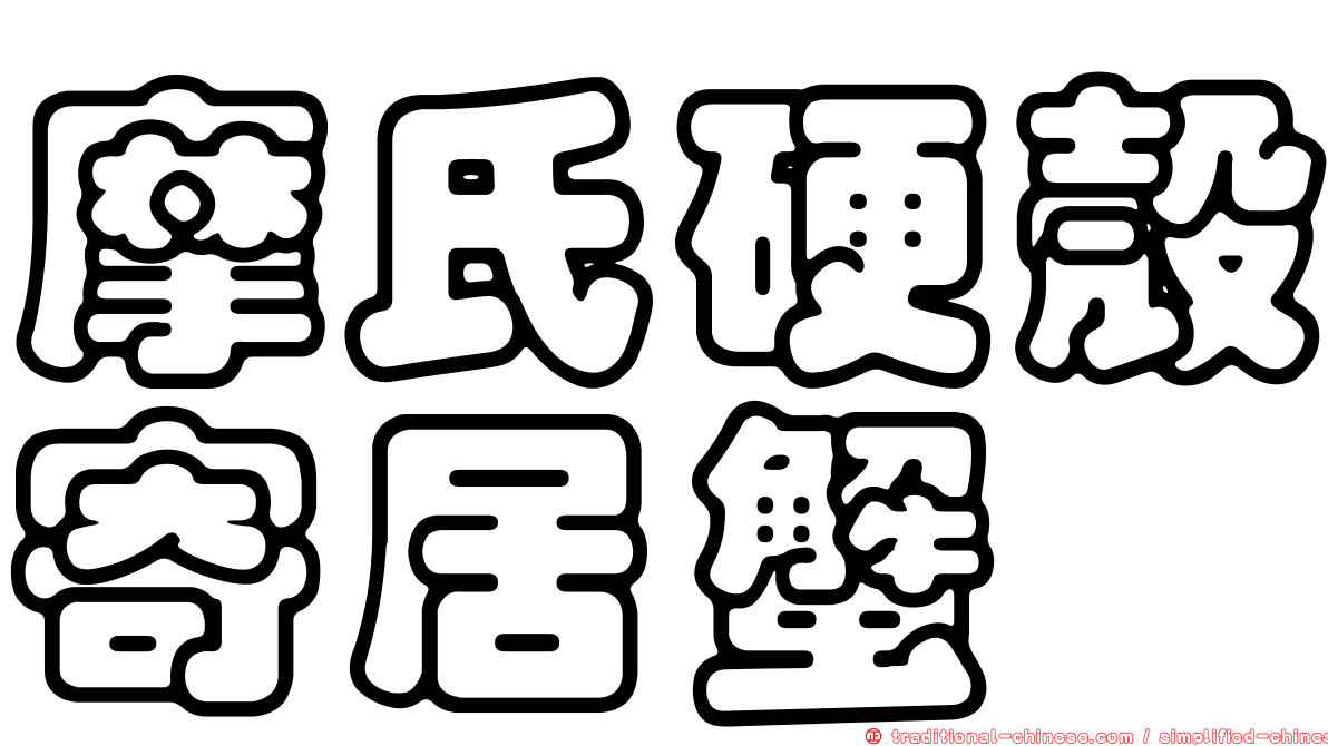 摩氏硬殼寄居蟹
