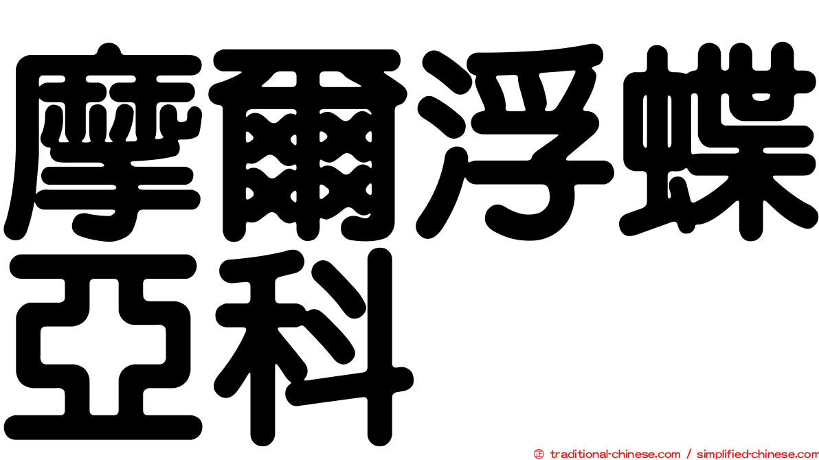 摩爾浮蝶亞科