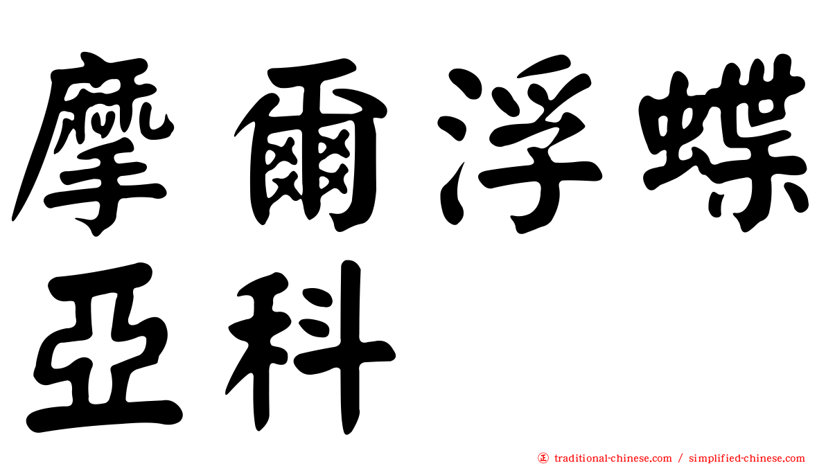 摩爾浮蝶亞科