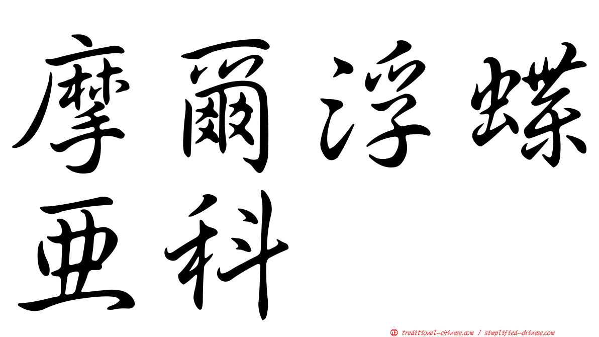 摩爾浮蝶亞科