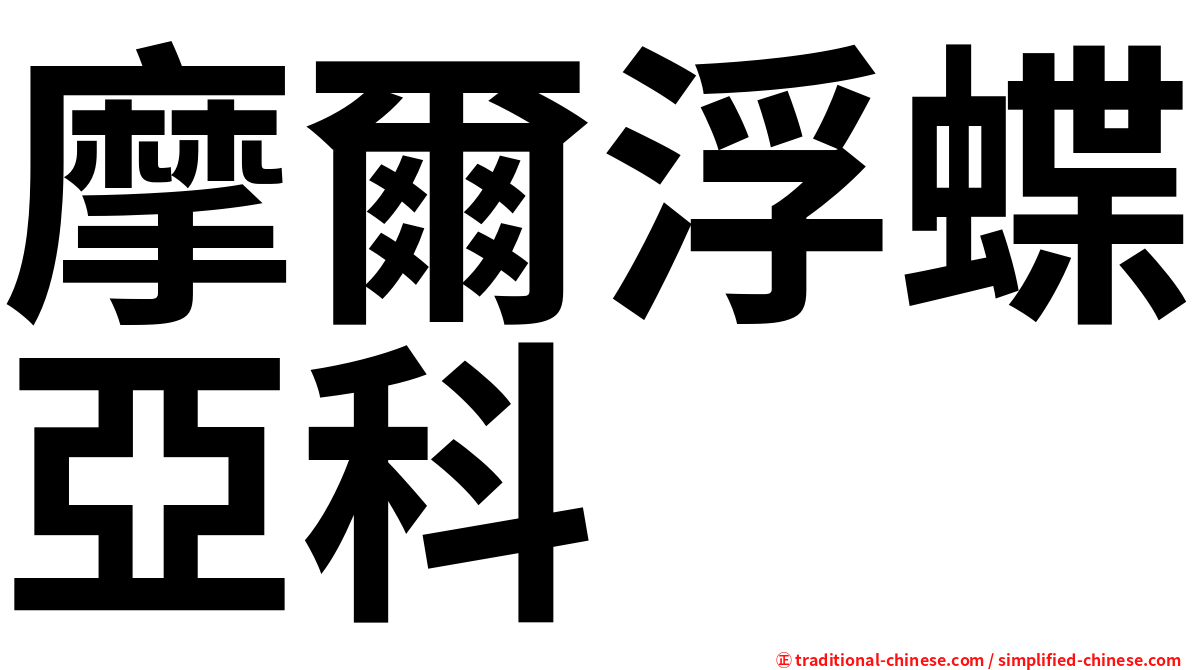 摩爾浮蝶亞科