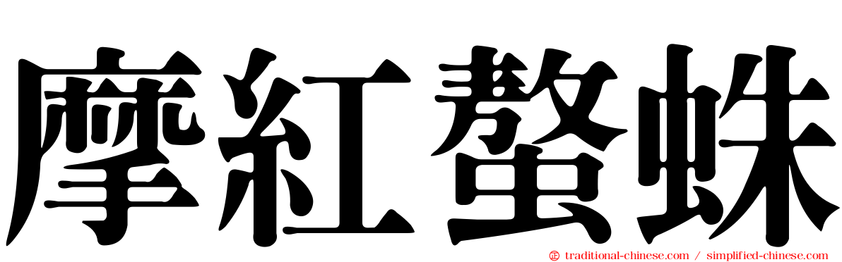 摩紅螯蛛