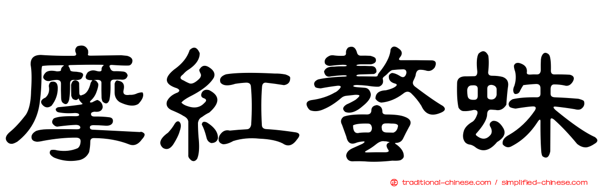 摩紅螯蛛