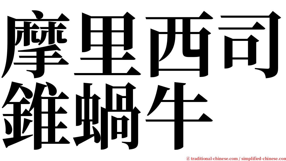 摩里西司錐蝸牛 serif font