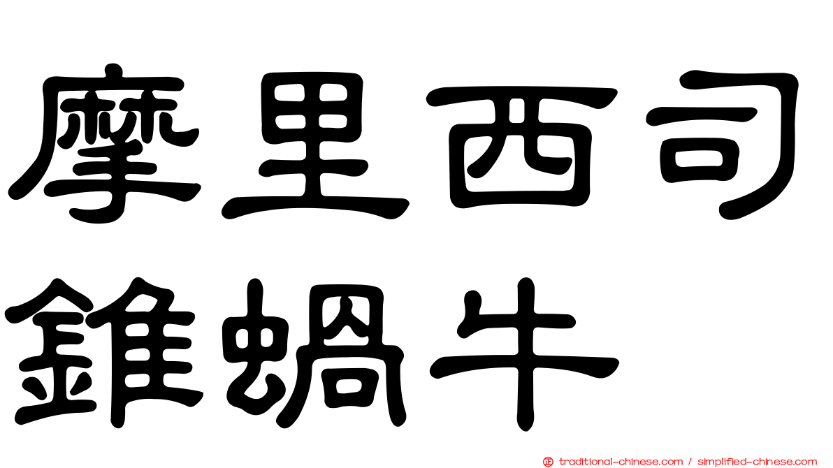 摩里西司錐蝸牛
